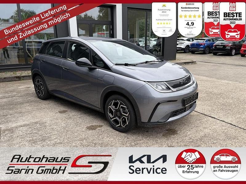 Grau Neu 2025 BYD Dolphin Comfort Kleinwagen | 29.999 € (Fairer Preis) - Bild 1/4