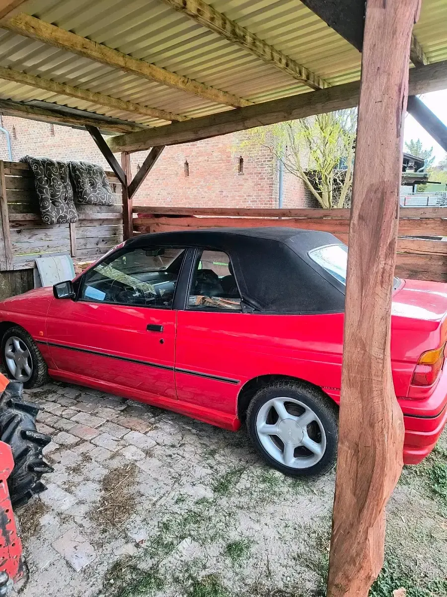 Gebraucht Ford Escort Cabriolet 105 PS (77 kW) 1991 Rot Cabrio