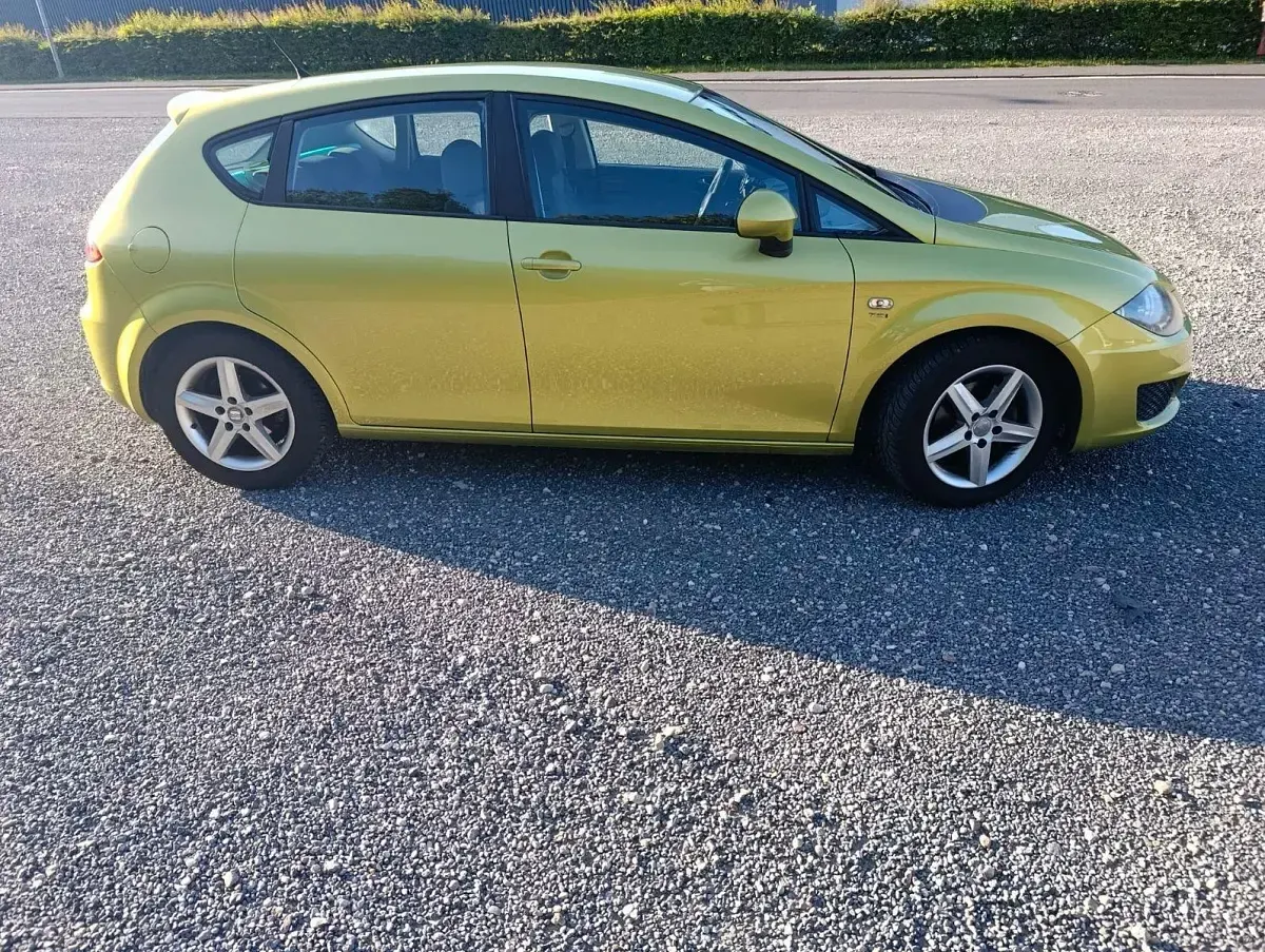 Gebraucht Seat Leon Style 125 PS (91 kW) 2010 Grün Kleinwagen