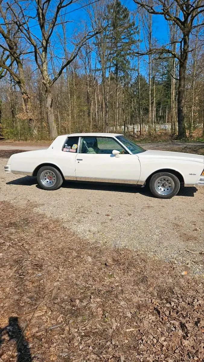 Gebraucht Chevrolet Monte Carlo 160 PS (117 kW) 1978 Weiß Coupé