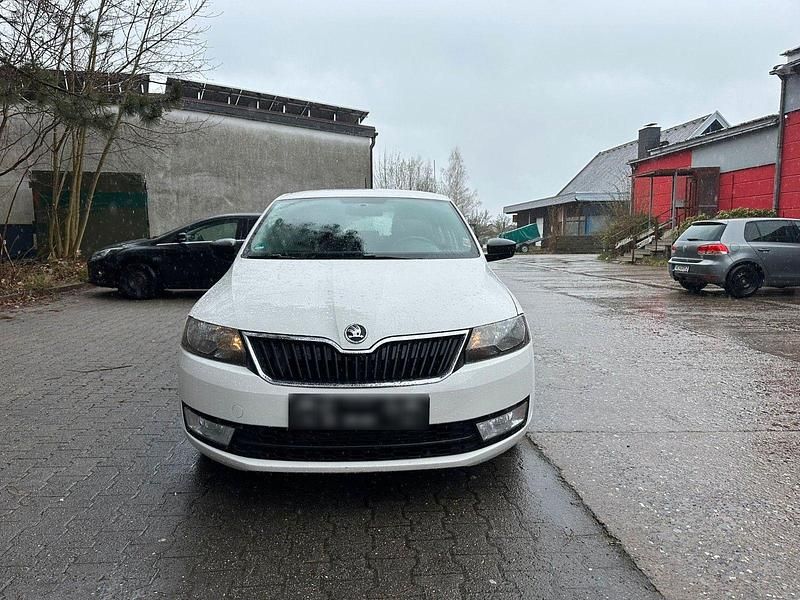 Second-hand Skoda Rapid Active 90 CP (66 kW) 2014 Alb Hatchback