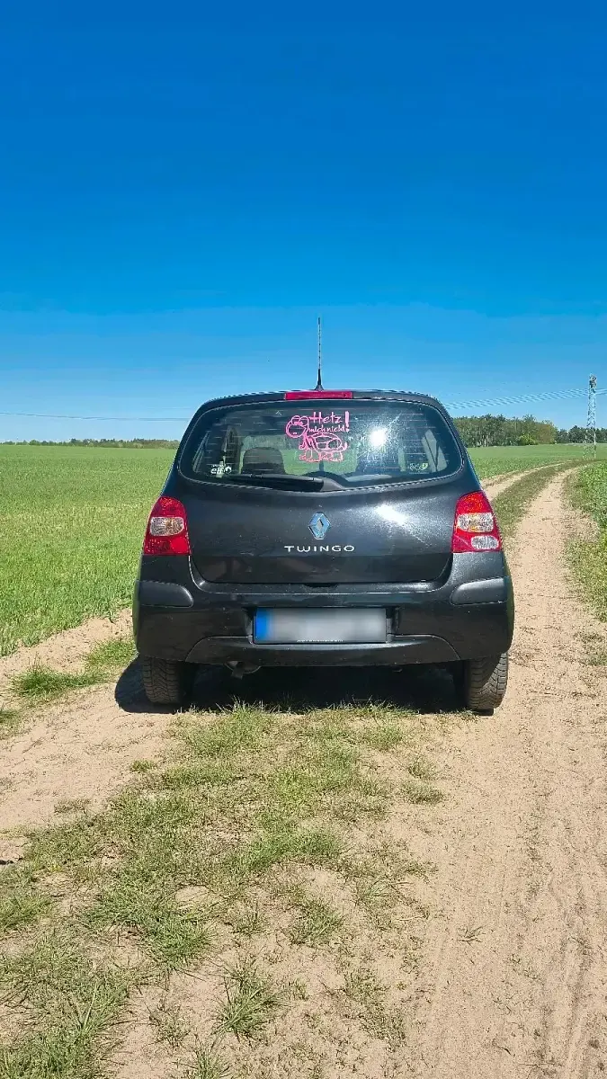 Second-hand Renault Twingo 60 CP (44 kW) 2008 Negru Hatchback