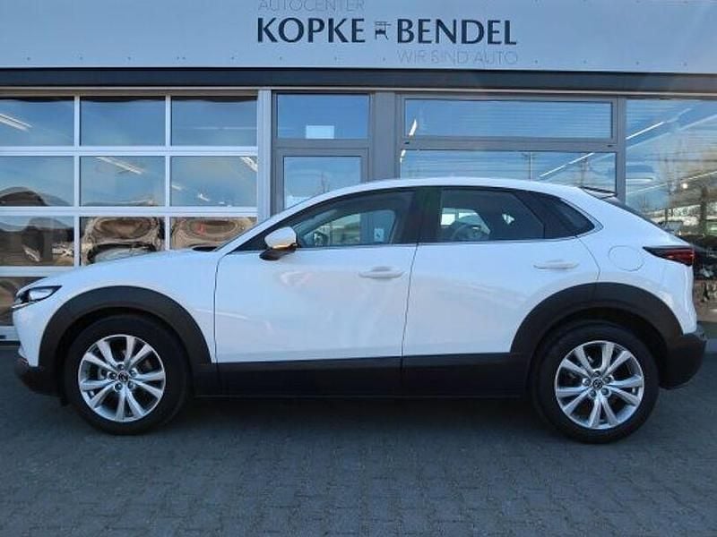 Gebraucht Mazda CX-30 Selection 186 PS (136 kW) 2021 Snowflake white metallic (metallic) SUV