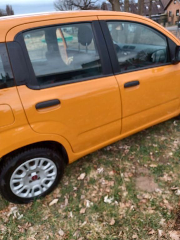 Gebraucht Fiat Panda Easy 69 PS (50 kW) 2019 Orange Kleinwagen