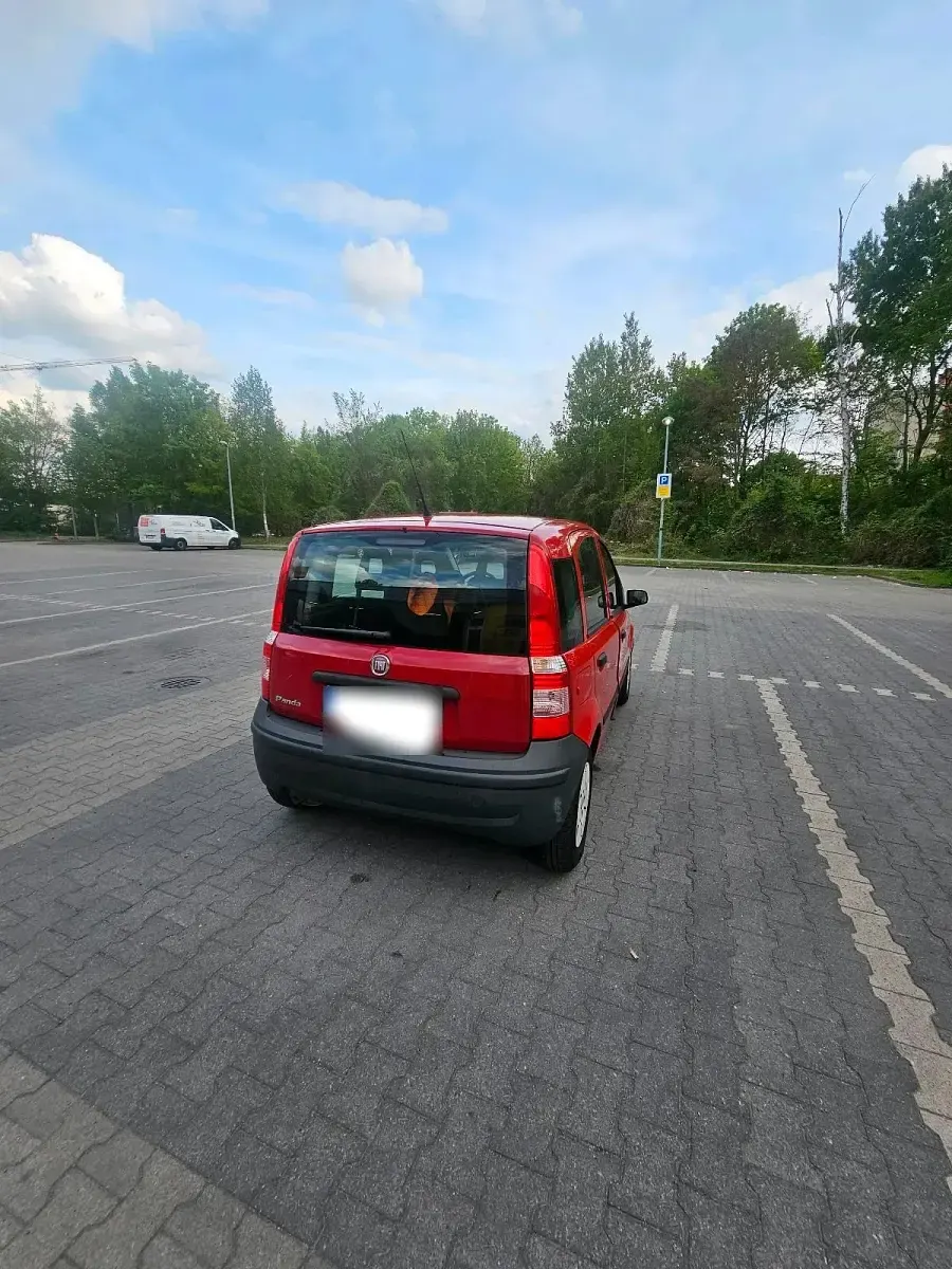 Usata Fiat Panda 54 CV (39 kW) 2009 Rosso Utilitaria