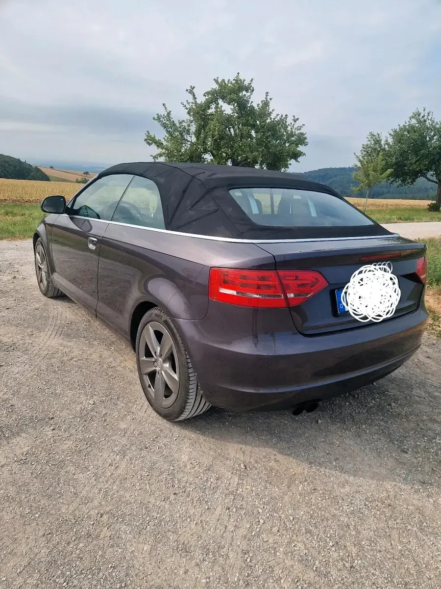 Gebraucht Audi A3 Cabriolet Ambition 160 PS (117 kW) 2009 Violet Cabrio