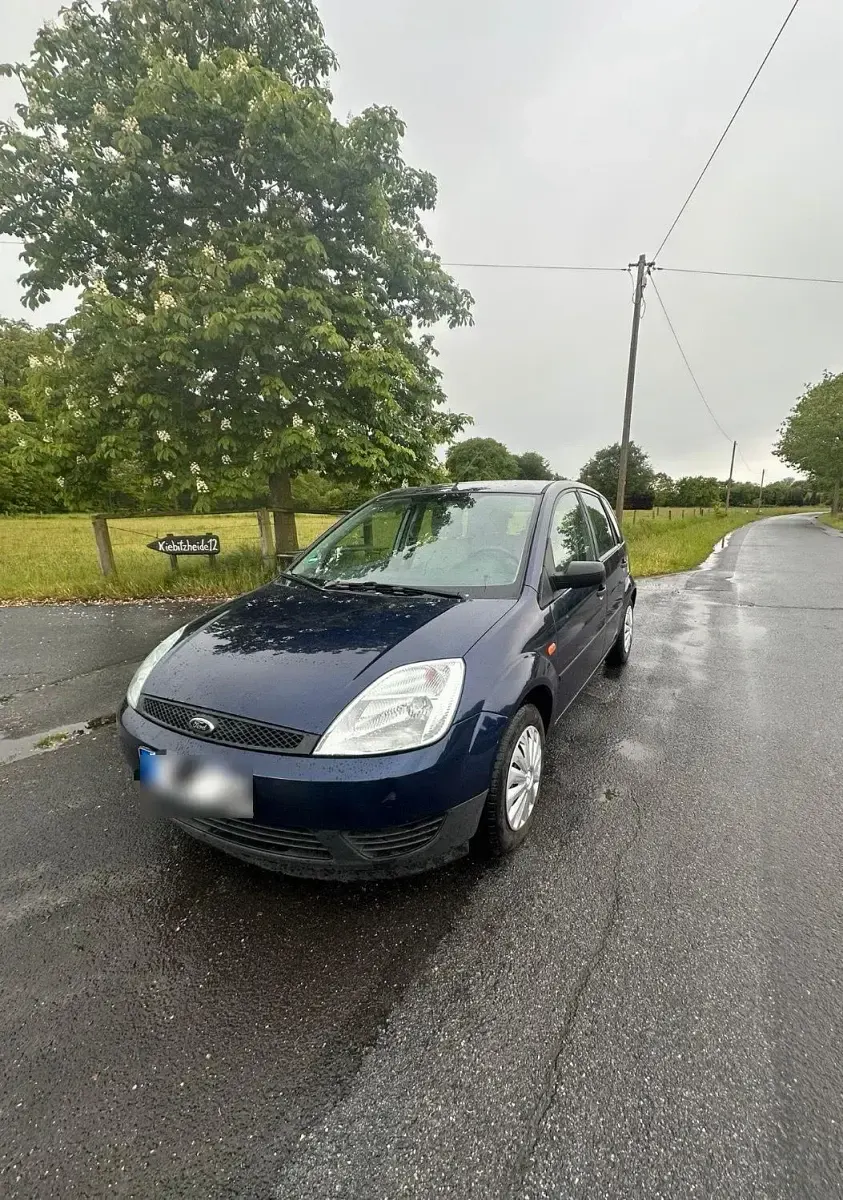 Gebraucht Ford Fiesta 80 PS (58 kW) 2002 Blau Kleinwagen