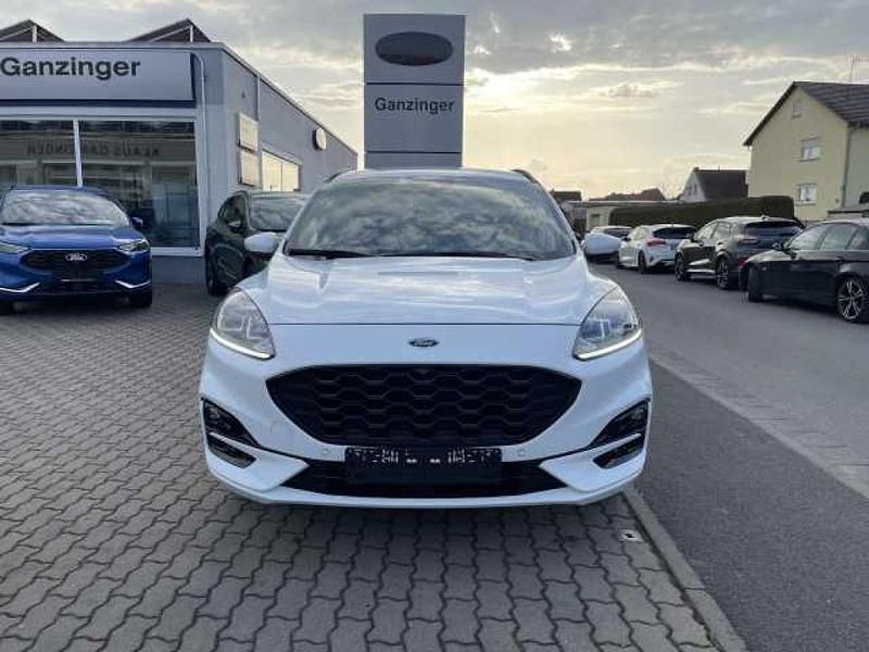 Gebraucht Ford Kuga ST-Line 150 PS (110 kW) 2023 Frostweiß SUV