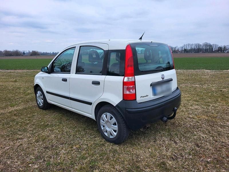 Gebraucht Fiat Panda 55 PS (40 kW) 2009 Weiß Kleinwagen