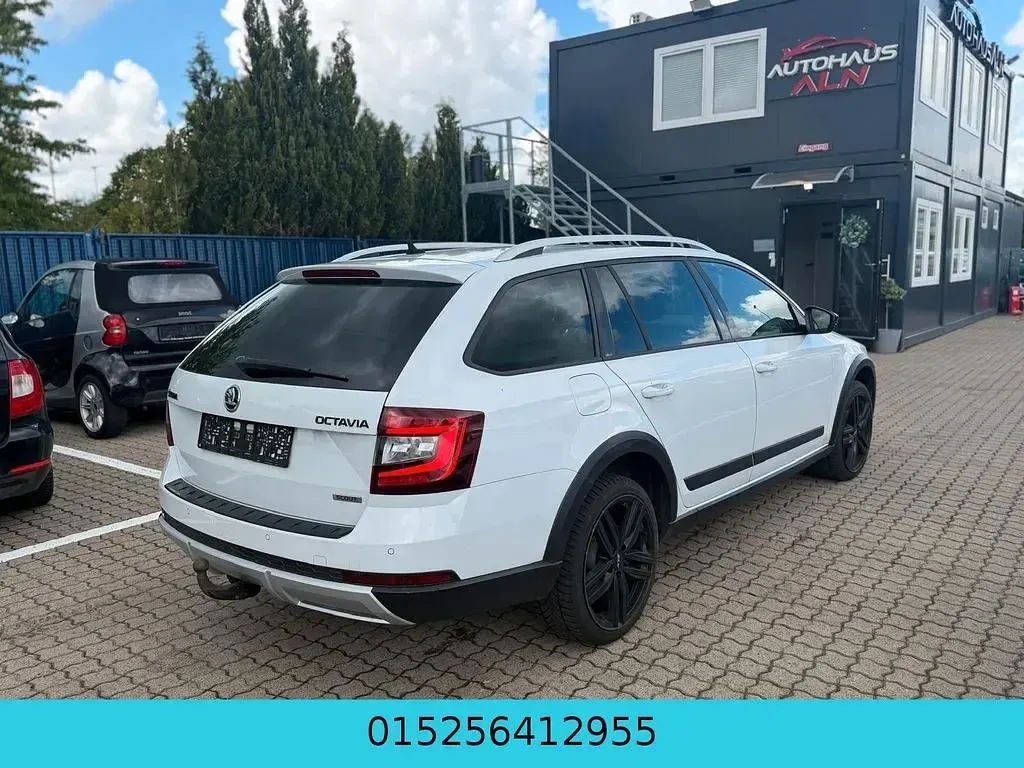 Gebraucht Skoda Octavia Scout Scout 4x4 184 PS (135 kW) 2015 Weiß Kombi