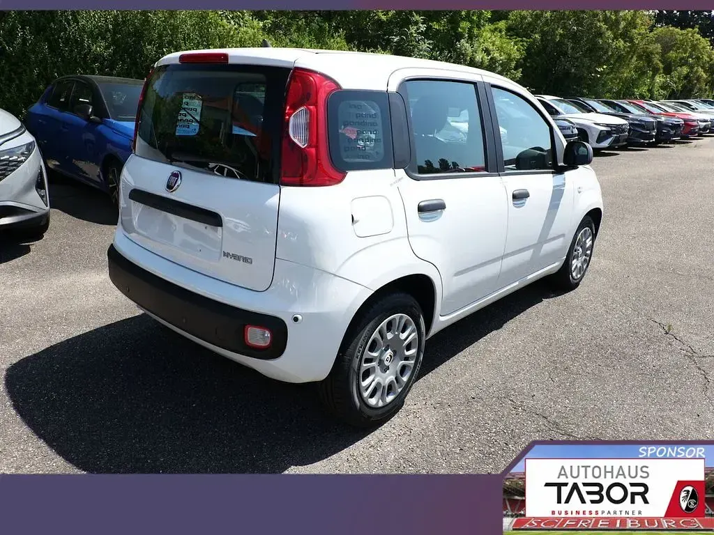 Neu Fiat Panda Pop 65 PS (47 kW) 2026 Gelato weiß Kleinwagen