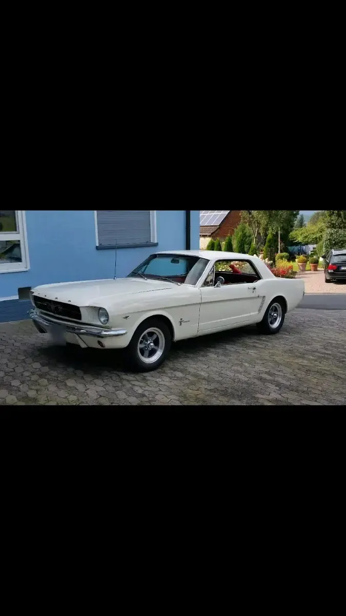 Gebraucht Ford V8 208 PS (152 kW) 1965 Weiß