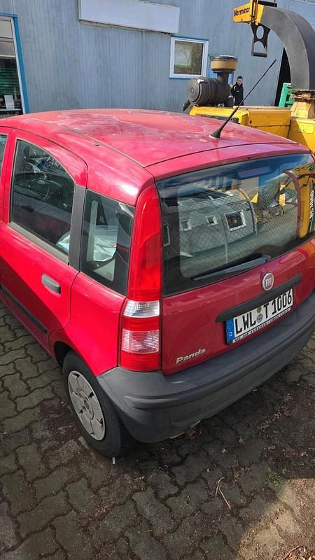 Usata Fiat Panda 40 CV (29 kW) 2009 Rosso Utilitaria