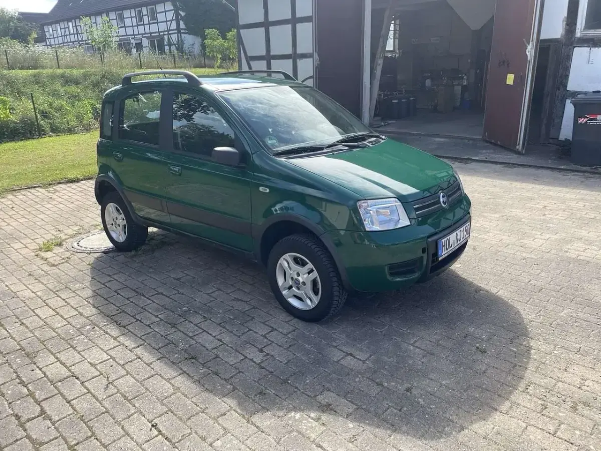 Gebraucht Fiat Panda 4x4 Climbing 69 PS (50 kW) 2006 Grün Kleinwagen