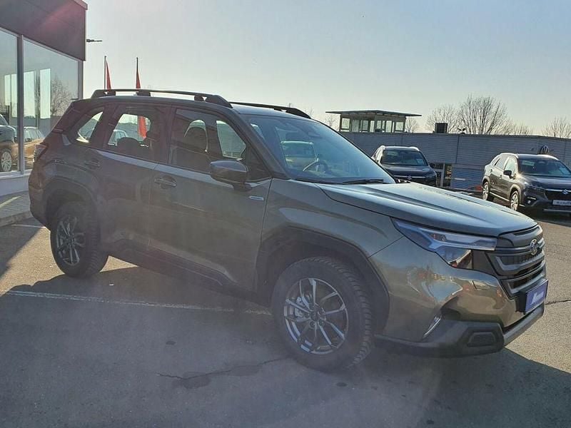 Gebraucht Subaru Forester Trend 136 PS (100 kW) 2025 Autumn green SUV