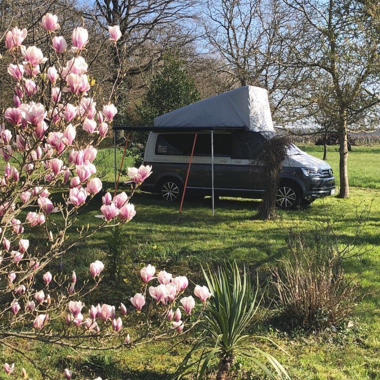 Grau Gebraucht 2019 VW T6.1 California Van | 51.800 € - Bild 1/4