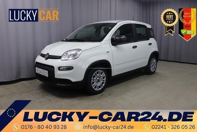Andere Neu 2024 Fiat Panda Kleinwagen | 14.229 € - Bild 1/3