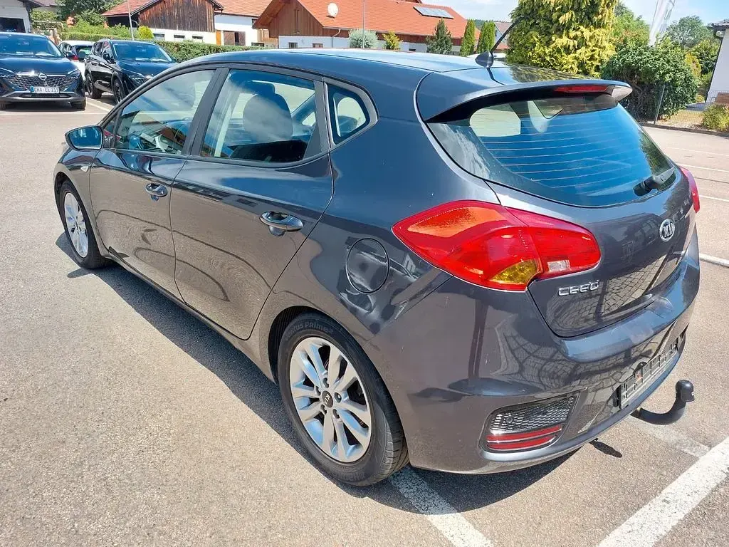 Gebraucht Kia Ceed Edition 7 99 PS (72 kW) 2017 Dark gun metal Kleinwagen