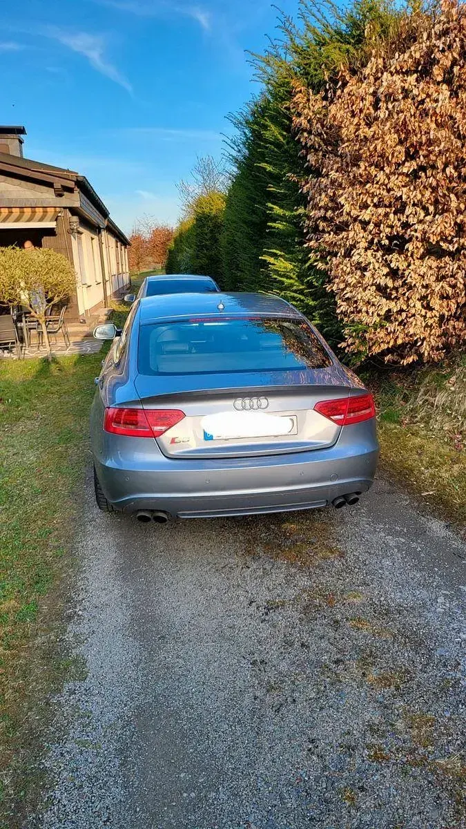 Gebraucht Audi S5 Sportback Sport 333 PS (244 kW) 2013 Kleinwagen
