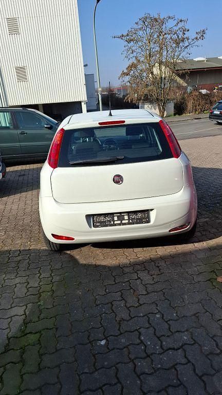 Gebraucht Fiat Punto Basis 69 PS (50 kW) 2017 Weiß Kleinwagen