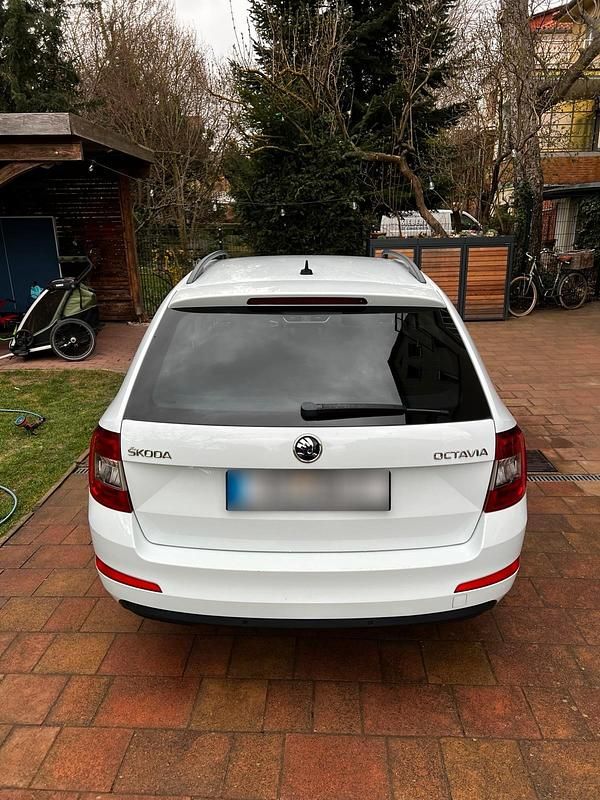 Gebraucht Skoda Octavia 150 PS (110 kW) 2016 Weiß Kleinwagen