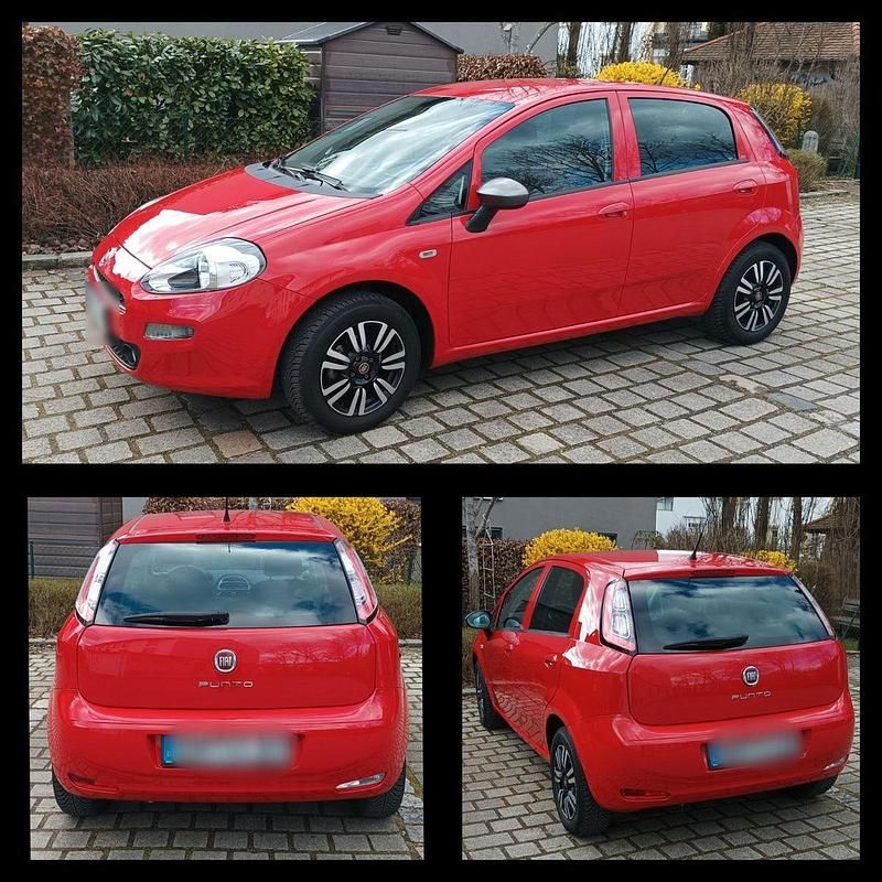 Gebraucht Fiat Punto Young 69 PS (50 kW) 2015 Rot Kleinwagen
