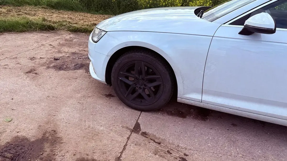 Gebraucht Audi A4 150 PS (110 kW) 2018 Weiß Kombi