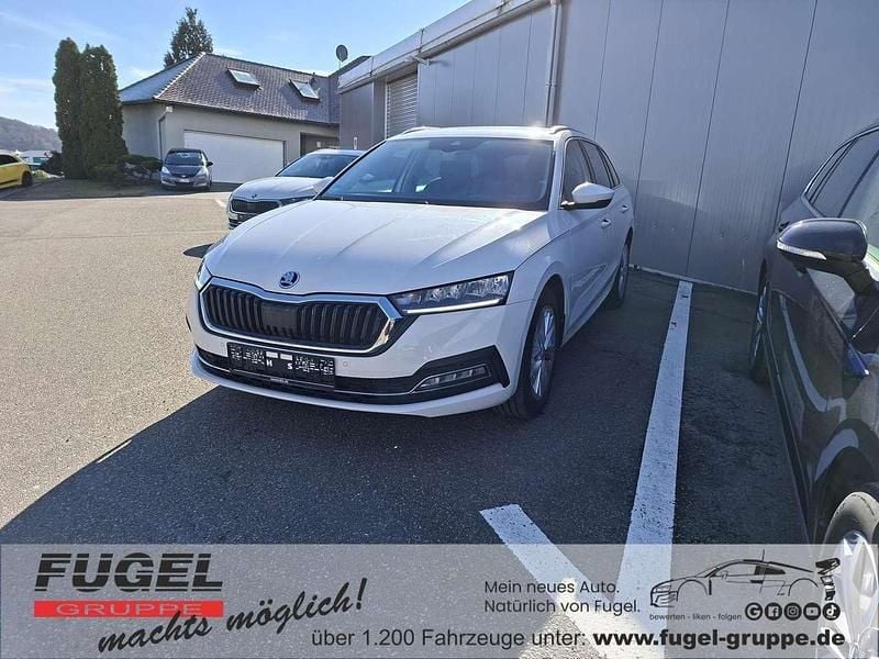 Gebraucht Skoda Octavia Style 116 PS (85 kW) 2023 Candyweiss Kombi