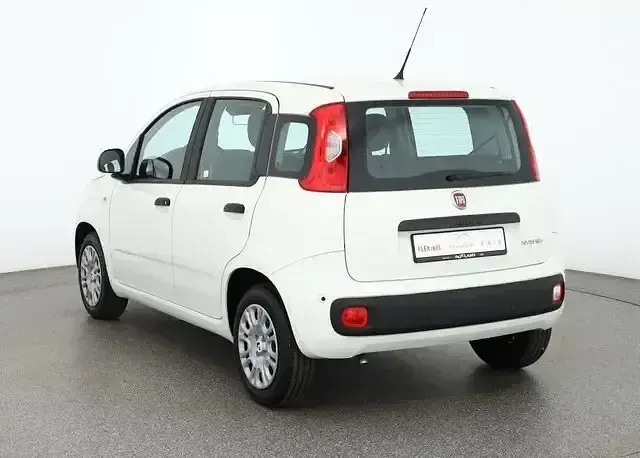 Neu Fiat Panda Connect 71 PS (52 kW) 2025 Gelatoweiss Kleinwagen