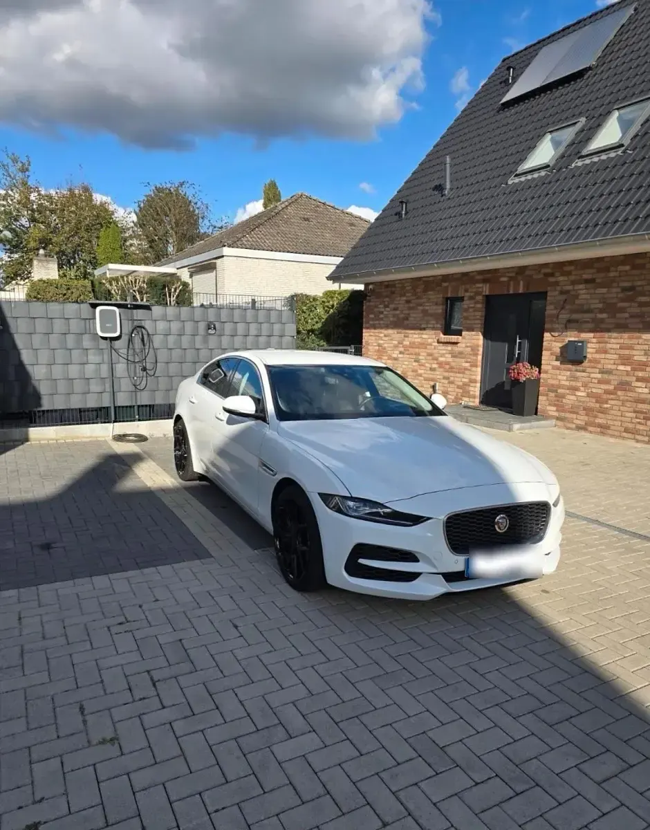 Gebraucht Jaguar XE SE 250 PS (183 kW) 2020 Weiß Limousine