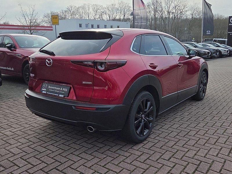 Gebraucht Mazda CX-30 Nagisa 140 PS (102 kW) 2025 Rot SUV