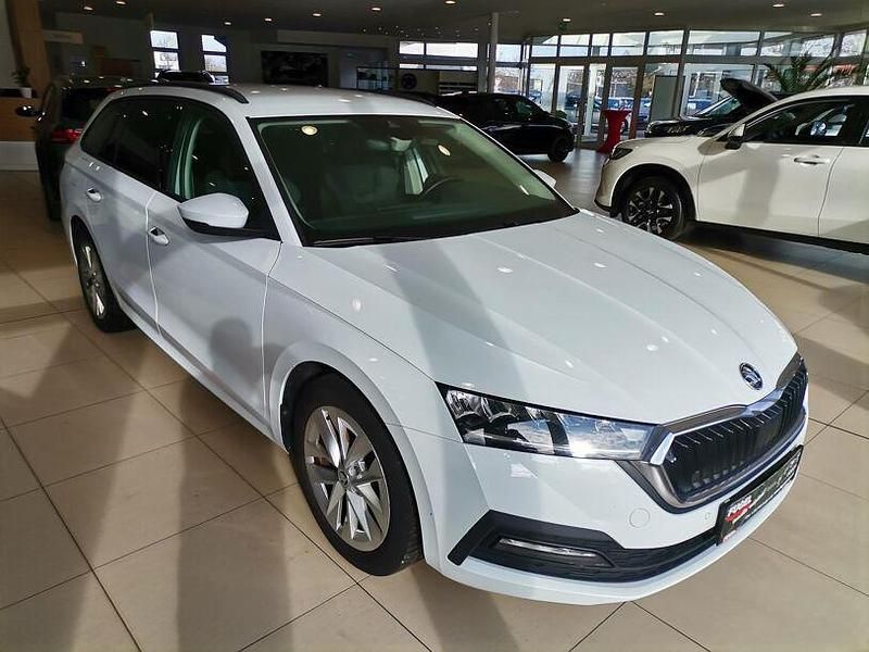 Gebraucht Skoda Octavia Ambition 110 PS (80 kW) 2021 Moonweiss metallic Kombi