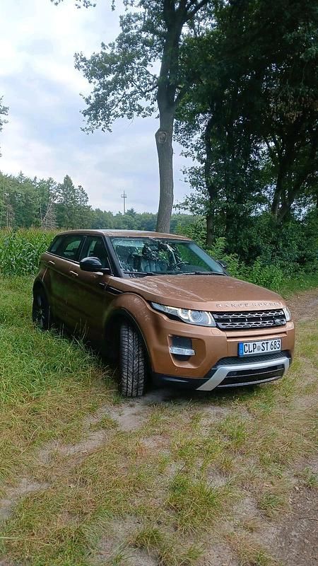 Gold Gebraucht 2014 Land Rover Range Rover evoque SUV | 9.900 € (Guter Preis) - Bild 1/4