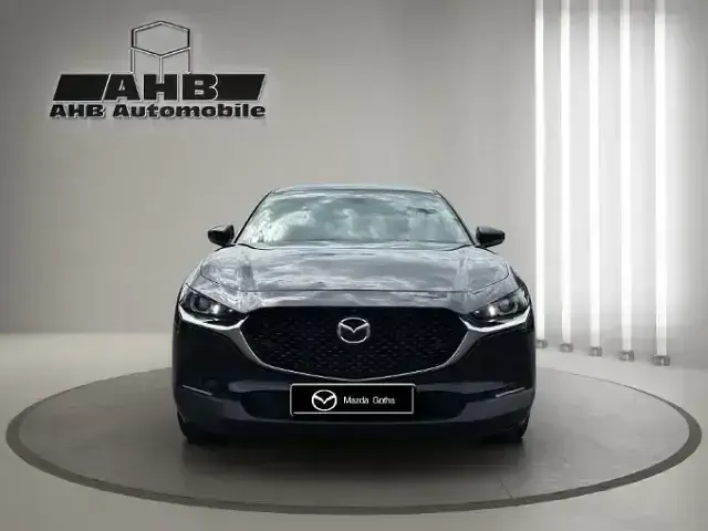 Gebraucht Mazda CX-30 Selection 122 PS (89 kW) 2019 Onyxschwarz SUV