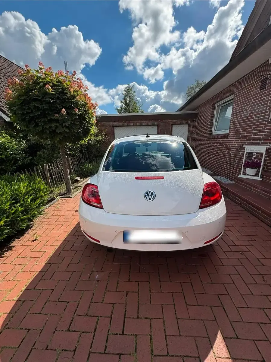 Gebraucht VW Beetle 104 PS (76 kW) 2012 Weiß Kleinwagen