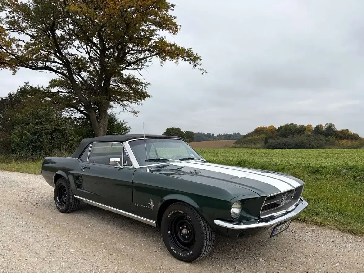 Gebraucht Ford V8 243 PS (178 kW) 1967 Bullitt green Cabrio