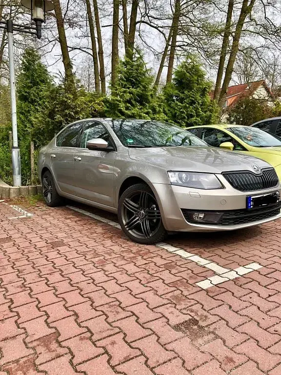 Gebraucht Skoda Octavia Elegance 140 PS (102 kW) 2014 Beige Kombi