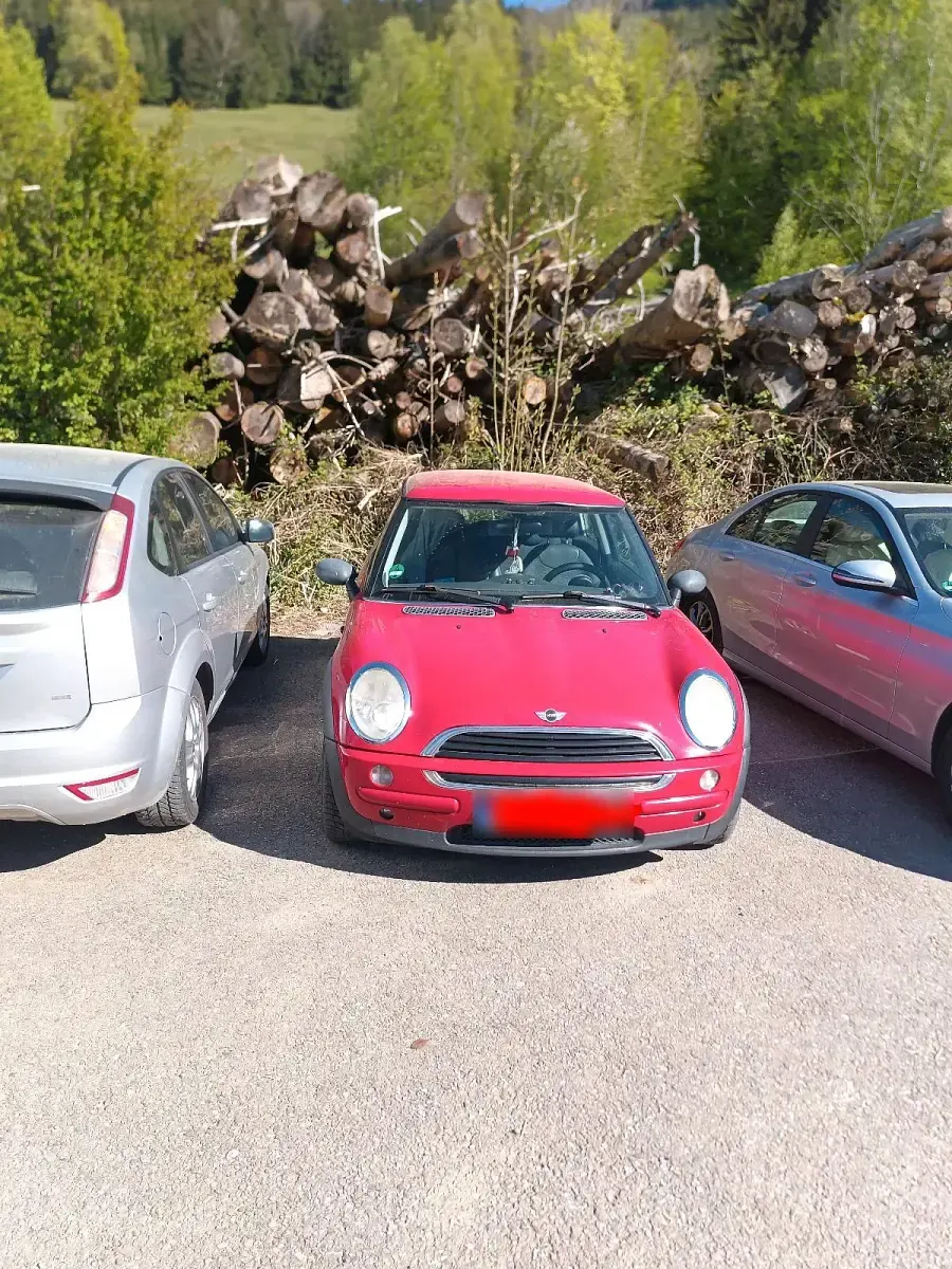 Usata Mini Cooper 116 CV (85 kW) 2002 Utilitaria