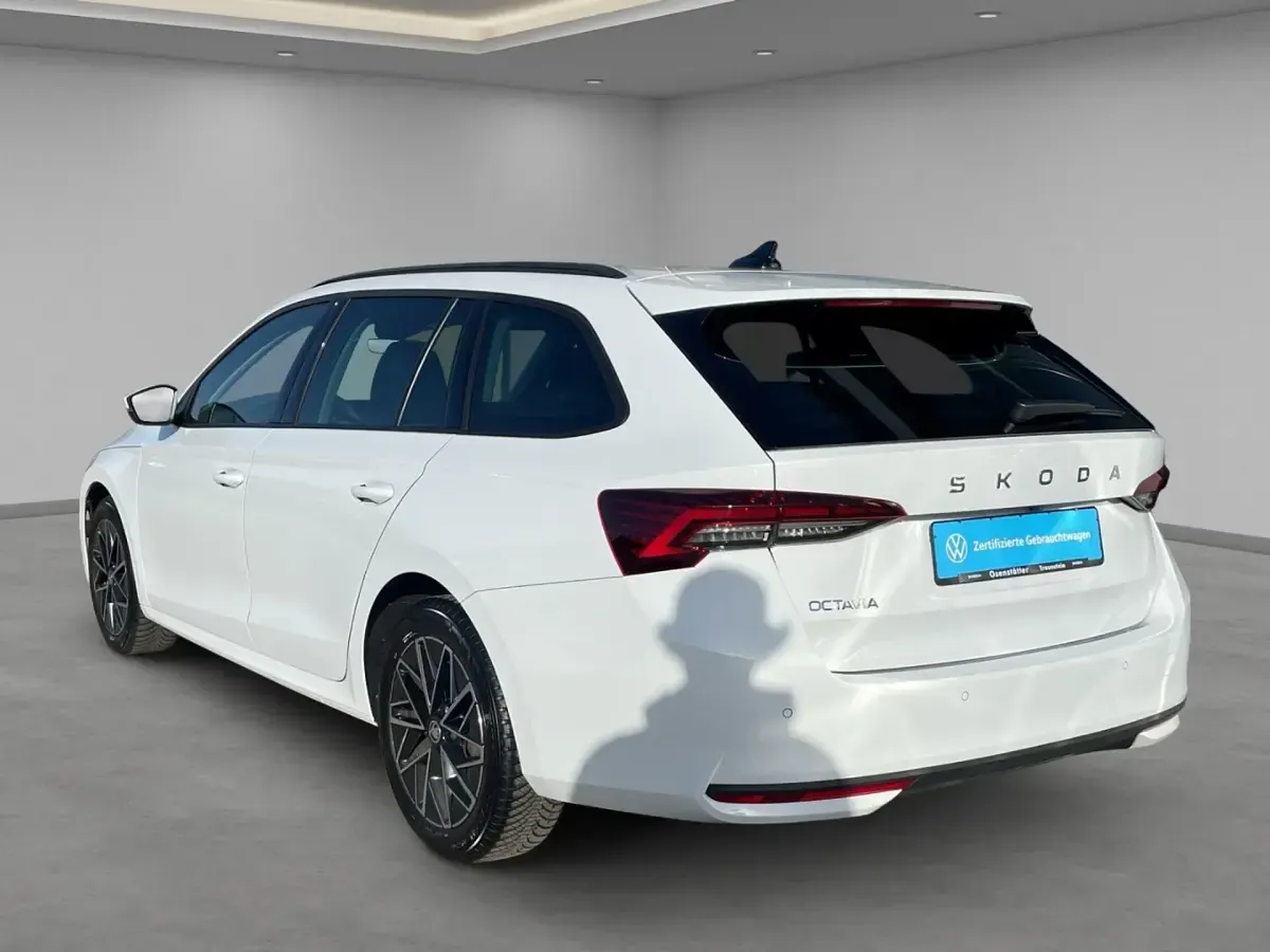 Occasion Skoda Octavia Selection 150 ch (110 kW) 2025 Blanc Break