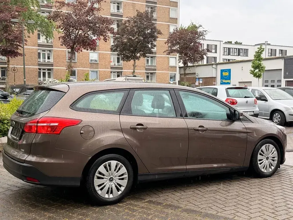 Usata Ford Focus Trend 125 CV (91 kW) 2016 Marrone Berlina