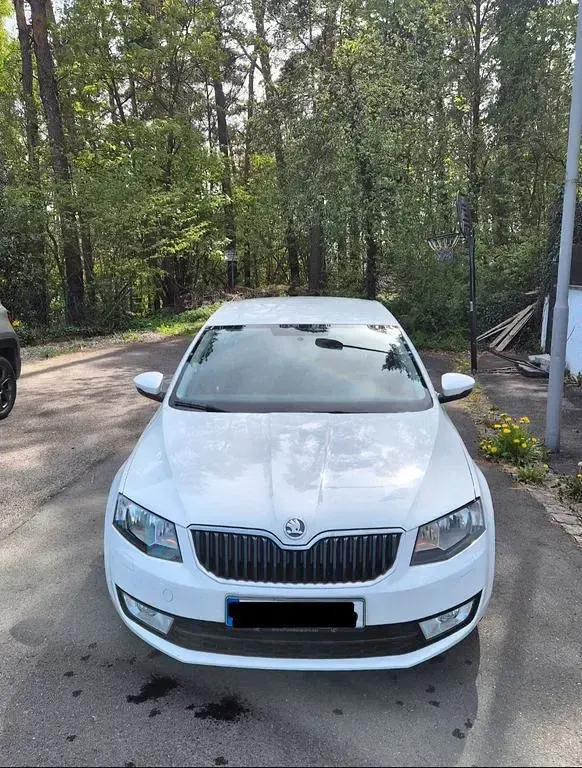 Gebraucht Skoda Octavia Active 105 PS (77 kW) 2015 Weiß Kombi