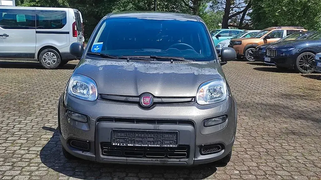 Gebraucht Fiat Panda 69 PS (50 kW) 2023 Grau Kleinwagen