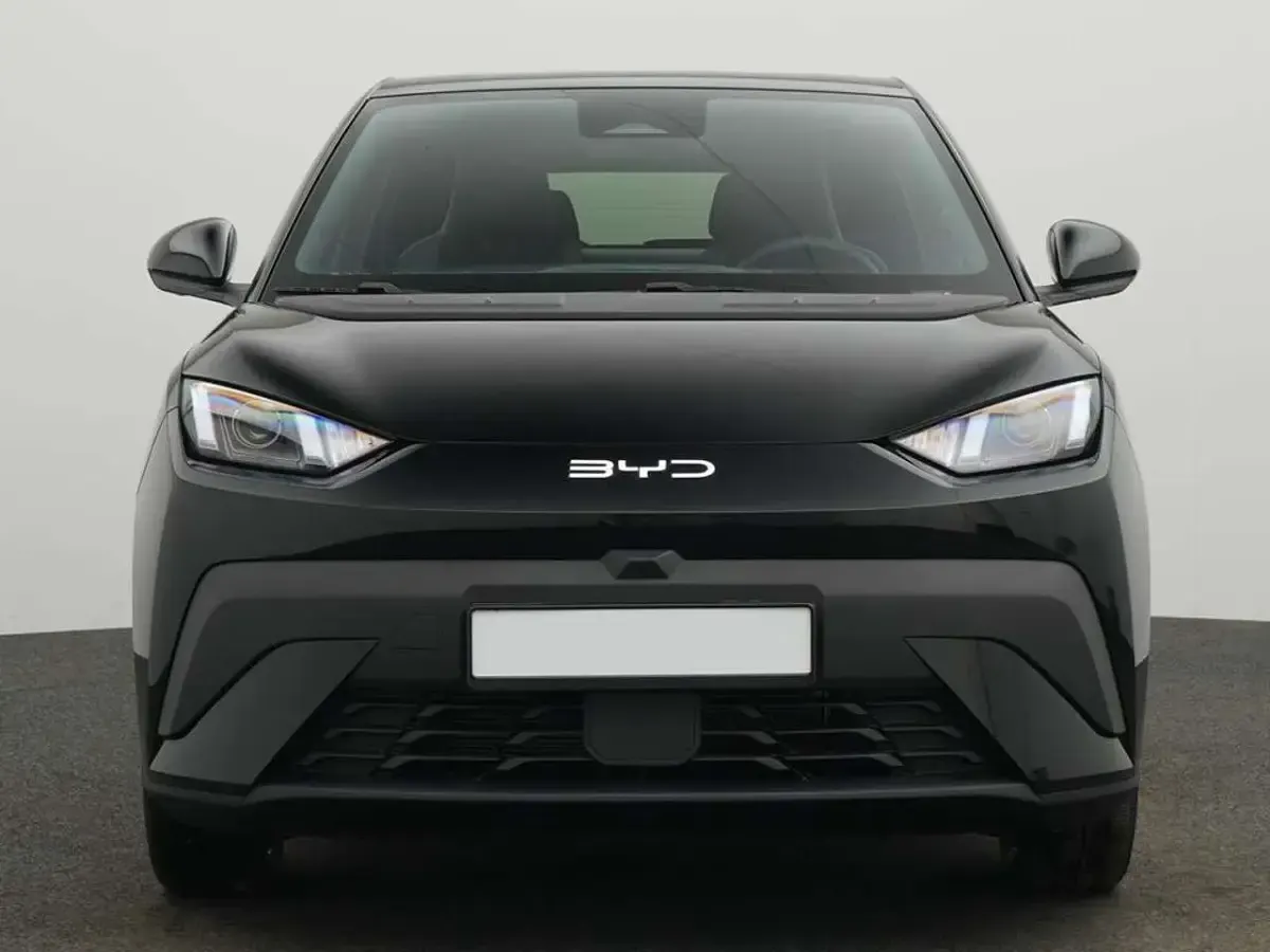 Neu BYD Dolphin Boost 64 kW (88 PS) 2026 Schwarz Kleinwagen