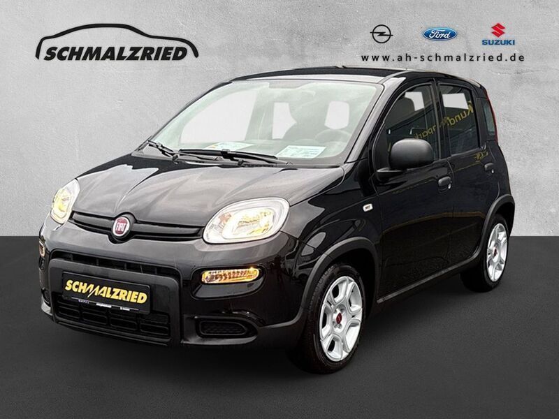 Othercolor Neu 2024 Fiat Panda Kleinwagen | 12.970 € (Guter Preis) - Bild 1/4