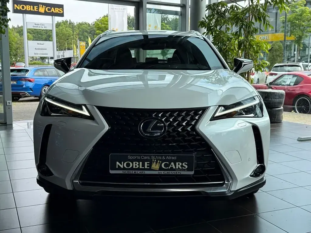 Gebraucht Lexus UX 250h Launch Edition 145 PS (106 kW) 2019 Weiß SUV
