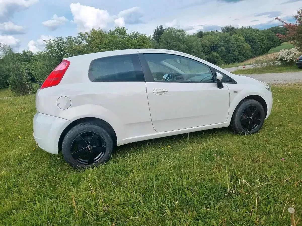 Gebraucht Fiat Punto 77 PS (56 kW) 2009 Weiß Kleinwagen