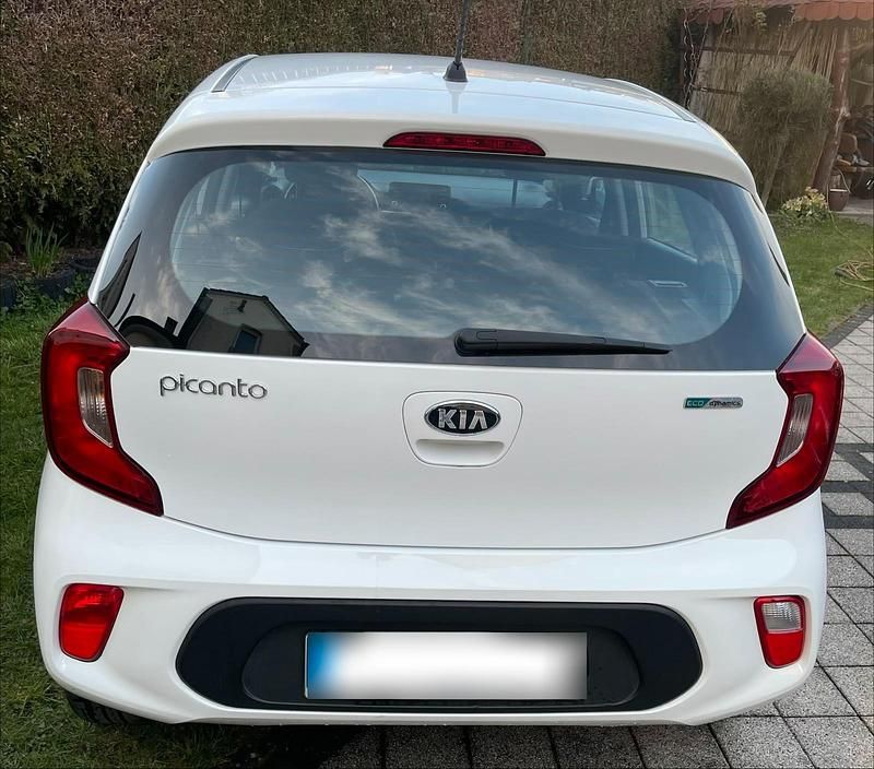 Gebraucht Kia Picanto 67 PS (49 kW) 2017 Weiß Kleinwagen