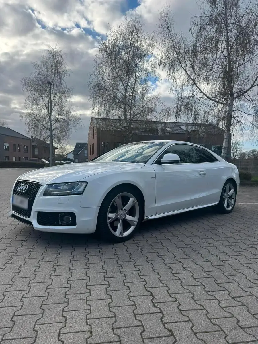 Gebraucht Audi A5 170 PS (125 kW) 2009 Weiß Coupé