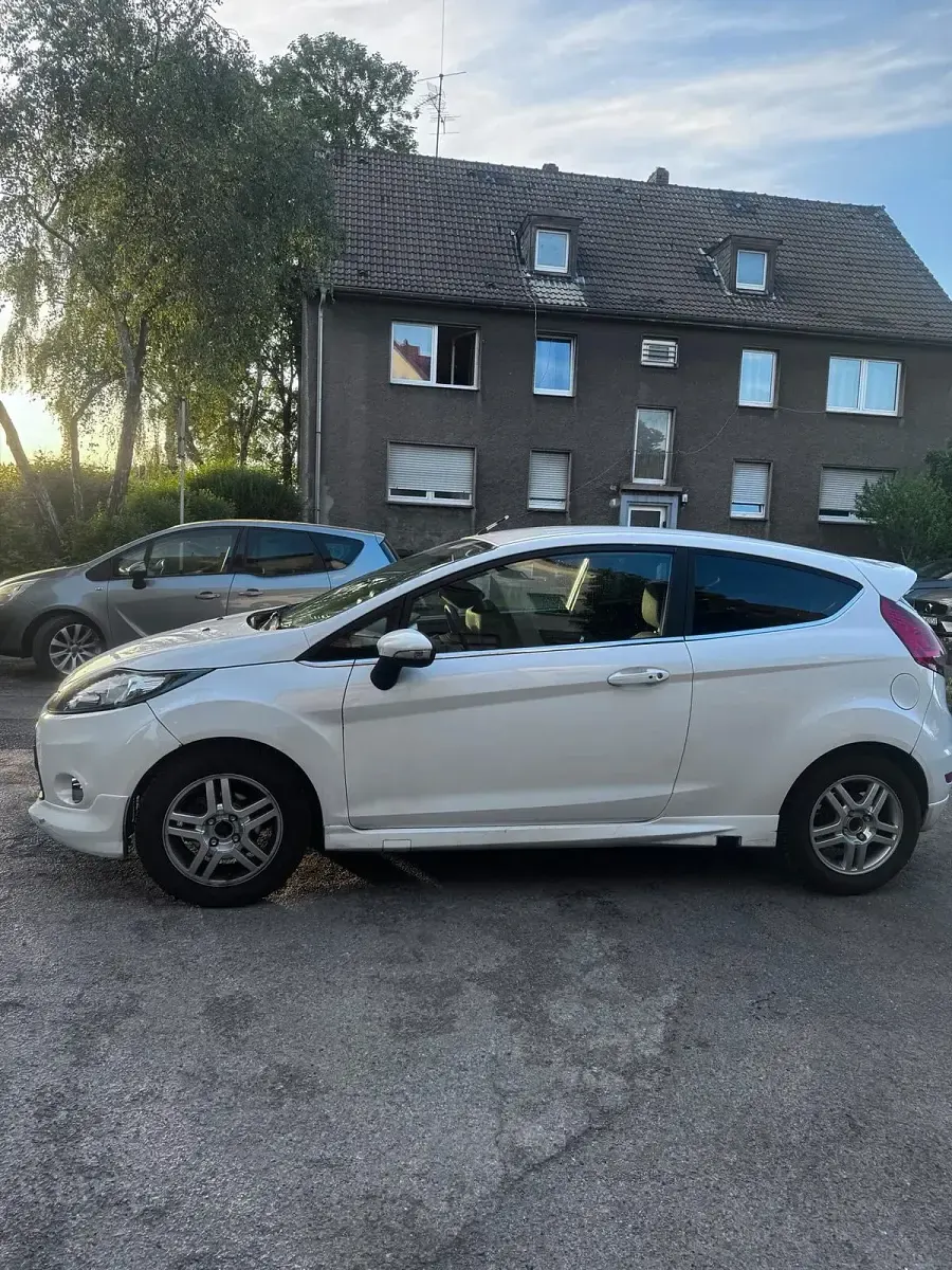 Usata Ford Fiesta ST-Line 95 CV (69 kW) 2009 Bianco Utilitaria