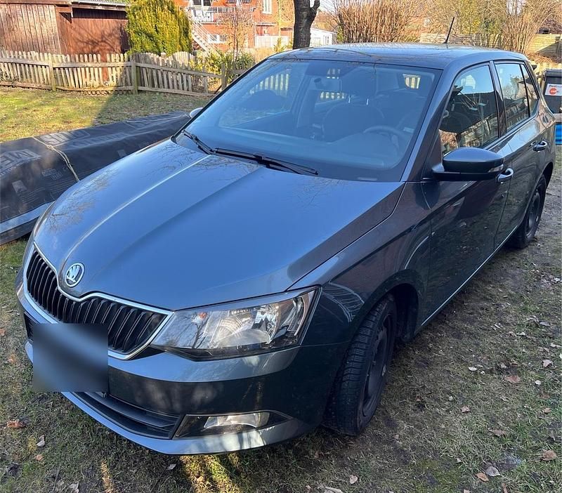 Gebraucht Skoda Fabia 110 PS (80 kW) 2016 Grau Kleinwagen